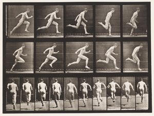 プレート63。フルスピードで実行します。 作： Eadweard Muybridge