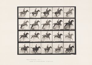 プレート 640ハードル跳び；鞍；ベイホース・デイジー 作： Eadweard Muybridge