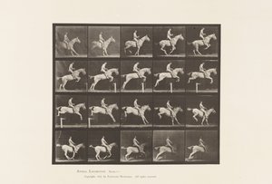 プレート642。ハードルをジャンプします。サドル;ライダー、105、ヌード;グレイマーレ、1885年 作： Eadweard Muybridge