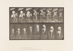プレート 644ハードルを跳ぶ、サドル、クリアリングとランディング 作： Eadweard Muybridge