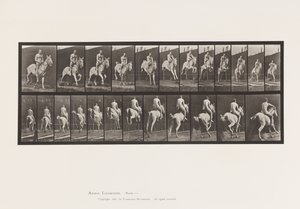 プレート646.ハードルをジャンプする;サドル;ライダー、105、ヌード;、1885 作： Eadweard Muybridge