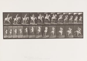 プレート 647ハードルを跳ぶ・生身・騎手 作： Eadweard Muybridge