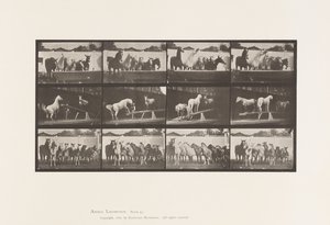プレート651.A、鐘の音、B、ティーターボード、C、軍事訓練 作： Eadweard Muybridge