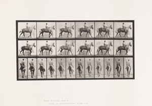プレート653歩くこと；鞍；跛行、右前足；馬-バックスキン 作： Eadweard Muybridge