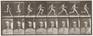 プレート65.全速力で走る。、1872-1885 作： Eadweard Muybridge