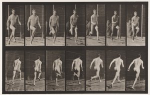 プレート66。ランニング 作： Eadweard Muybridge