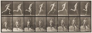 プレート67。ランニング、1872〜1885 作： Eadweard Muybridge