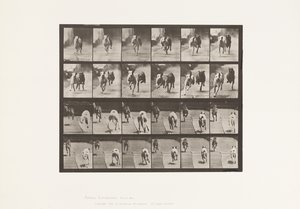 プレート711犬；2頭のレーシング；A、B；レーシングハウンド、アイク＆マギー 作： Eadweard Muybridge