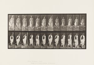 プレート71.Running、1885 作： Eadweard Muybridge