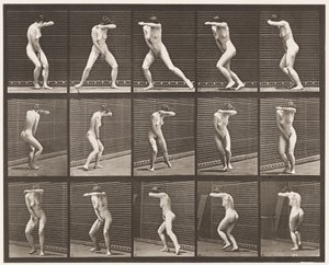 プレート73. 1872〜1885年のサプライズでの振り返りと逃走 作： Eadweard Muybridge