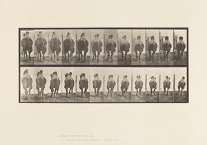 プレート742バクトリア・キャメル、A:ラッキング、B:ギャロッピング 作： Eadweard Muybridge