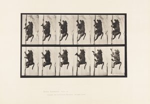 プレート749ヒヒ、ポールに登る 作： Eadweard Muybridge