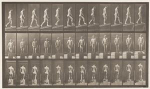 プレート74。上昇傾斜、角度1 in 4 作： Eadweard Muybridge