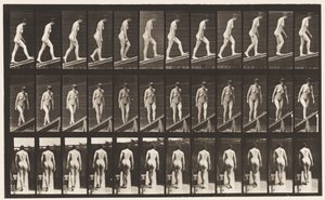 プレート76。上昇傾斜 作： Eadweard Muybridge