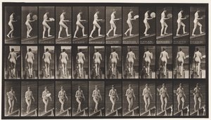 プレート78. Ascending Incline、Flirting A Fan、1872-1885 作： Eadweard Muybridge