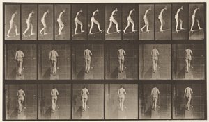 プレート79。上昇傾斜 作： Eadweard Muybridge