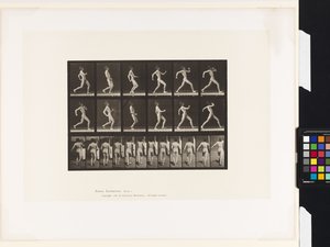プレート7.ウォーキング 作： Eadweard Muybridge