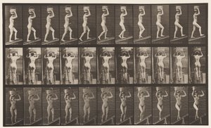 プレート80。上昇傾斜 作： Eadweard Muybridge