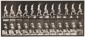 プレート83.上昇傾斜、右手に水のバケツ 作： Eadweard Muybridge