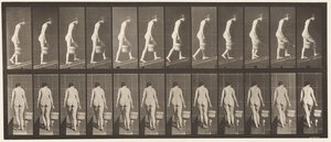 プレート84右手に水の入ったバケツを持って坂道を上る 作： Eadweard Muybridge
