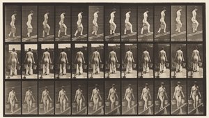 プレート87.上昇傾斜、各手のバケツ 作： Eadweard Muybridge