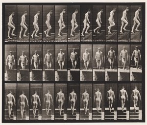 プレート88。上昇階段、1872〜1885 作： Eadweard Muybridge