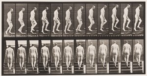 プレート89。上り階段 作： Eadweard Muybridge