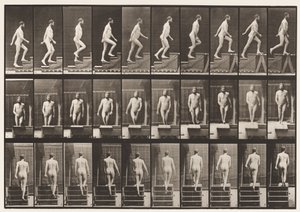 プレート90。上り階段 作： Eadweard Muybridge