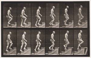 プレート91。上り階段 作： Eadweard Muybridge