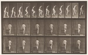 プレート93階段の上り下り 作： Eadweard Muybridge