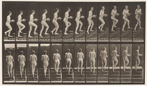 プレート94。周りを見回す上昇階段。手の中の盆地 作： Eadweard Muybridge
