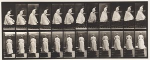 プレート95.Acending Stairs、A Basin in Hands、1885