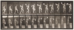 プレート96。周りを見回す上昇階段。ハンカチを振る 作： Eadweard Muybridge