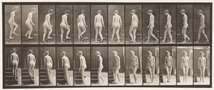 プレート98.ターンとアセンディングの階段、1872〜1885 作： Eadweard Muybridge