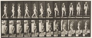 プレート99。階段の曲がりと上昇 作： Eadweard Muybridge