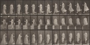  作： Eadweard Muybridge