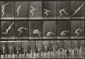  作： Eadweard Muybridge