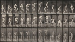  作： Eadweard Muybridge