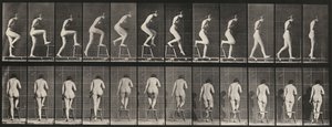 プレートNo.180 椅子の踏ん張り 作： Eadweard Muybridge