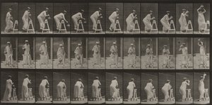  作： Eadweard Muybridge