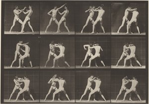 プレート番号340ボクシング、オープンハンド（シューズ）、1887年（写真） 作： エドワード・マイブリッジ