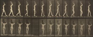 プレート番号34。両手を挙げ、15ポンドのバスケットを頭に載せて歩く1887年（写真）。 作： エドワード・マイブリッジ