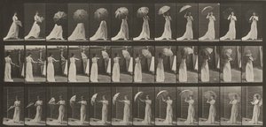 作： Eadweard Muybridge