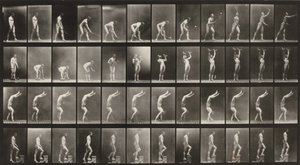  作： Eadweard Muybridge