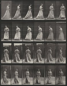  作： Eadweard Muybridge