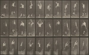 プレートNo.504。階段の上り下り 作： Eadweard Muybridge