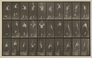 プレート番号504。上昇と下降の階段 作： Eadweard Muybridge