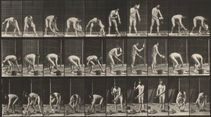 プレート番号506レンガ積み、1887年（写真） 作： エドワード・マイブリッジ