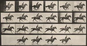  作： Eadweard Muybridge