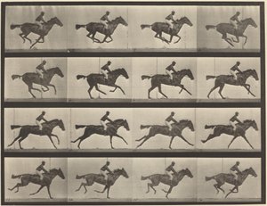  作： Eadweard Muybridge
